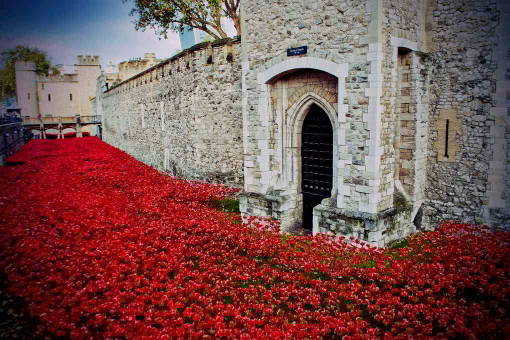 Tower Of London Poppies Red Poppy England Photograph Print