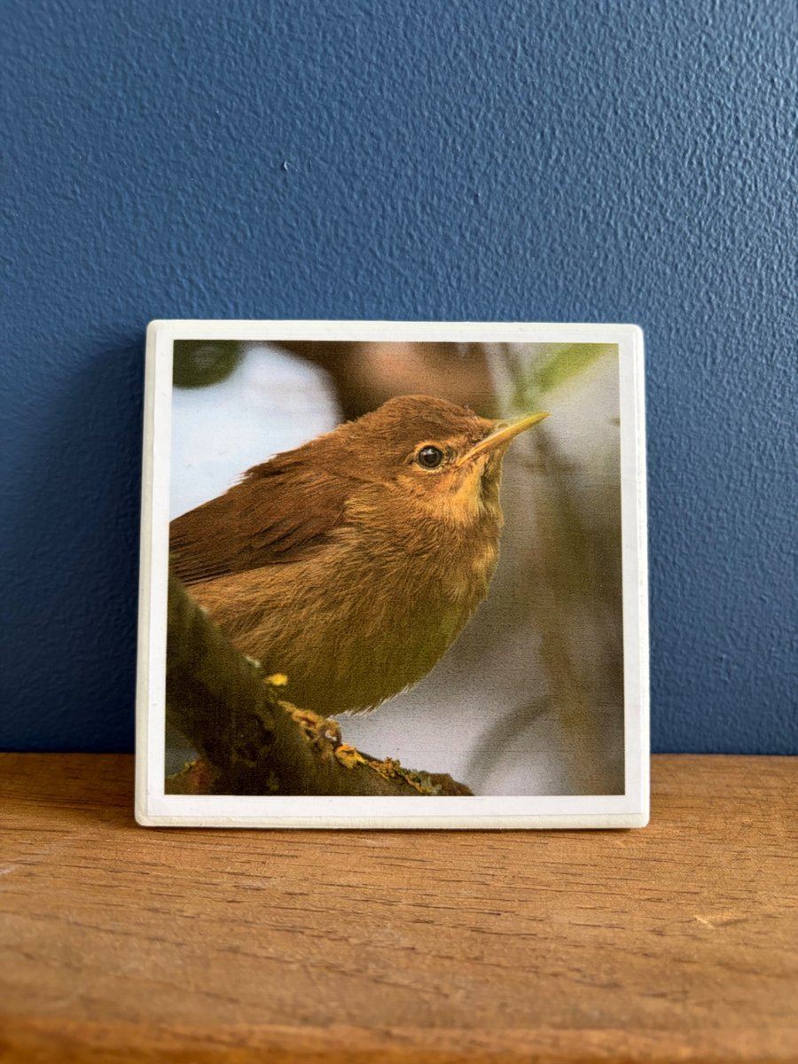 Reed Warbler Ceramic Coaster