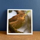 Reed Warbler Ceramic Coaster