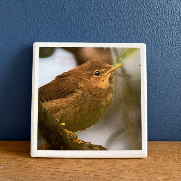 Reed Warbler Ceramic Coaster