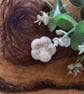 Ylang-ylang Vegan wax melt.