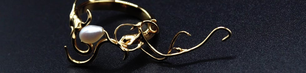 Bianca Maria Bolum Art Jewellery