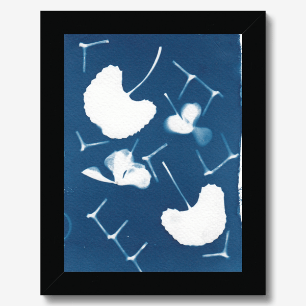 4x5 Periwinkle and Leaf Cyanotype in Blue