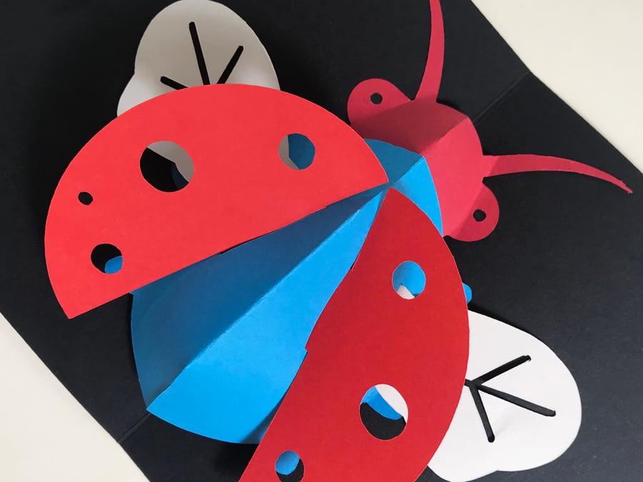 Pop-up Ladybird 3-D greetings card