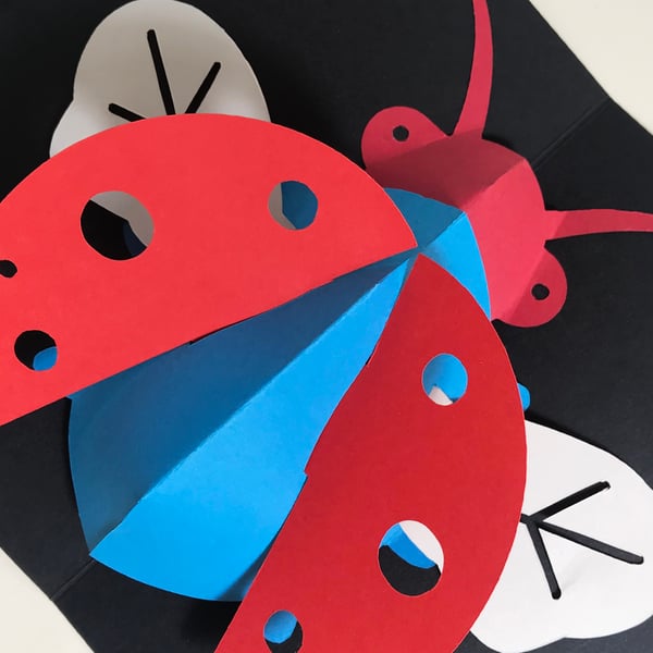 Pop-up Ladybird 3-D greetings card