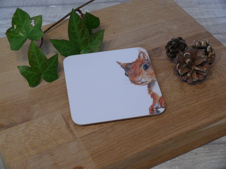 'Peeping Tom' squirrel, cork backed coaster