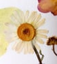 Handmade Pressed Flowers. Original Design. A4 size. - Image 8