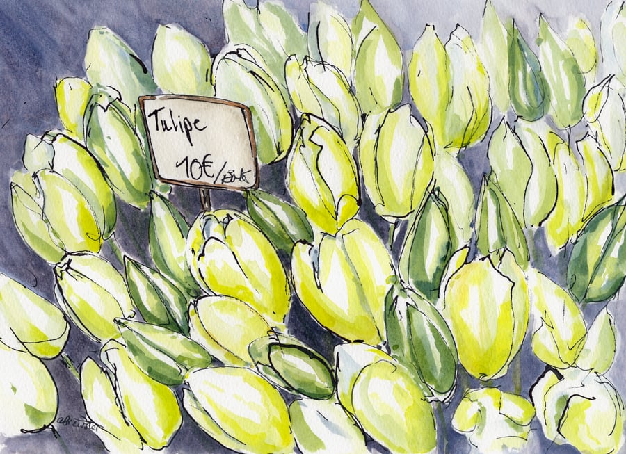 French market tulips