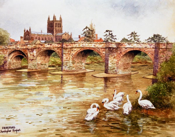 Hereford . Signed Special Edition Print 