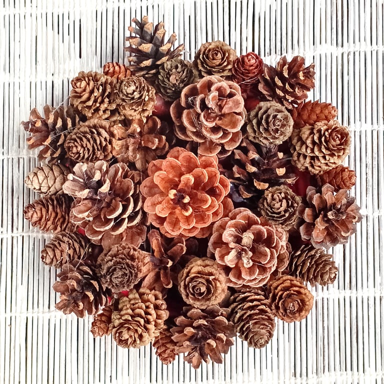 Small 'roundel' cone wreath, festive, mantle piece, table, wall display