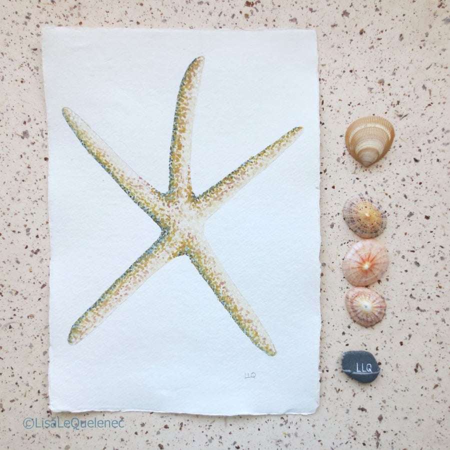Sale Delicate starfish painting seaside collection series original art