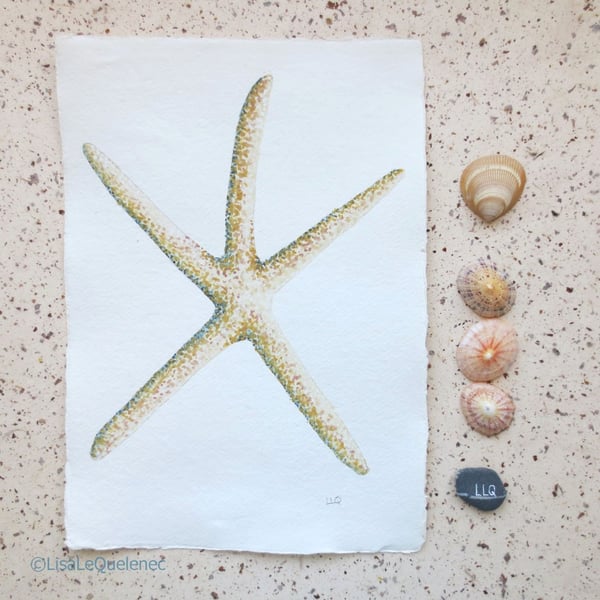 Sale Delicate starfish painting seaside collection series original art