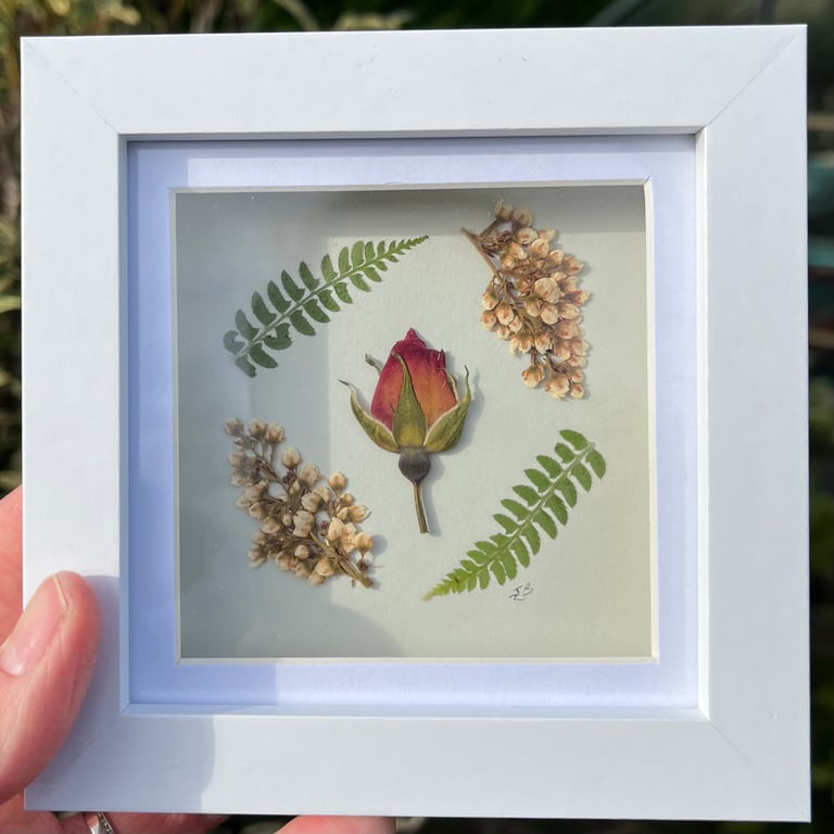 Real Pressed Rose Bud, Framed Art, Mother’s Day, birthday gift