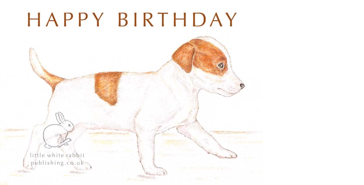 Jill the Jack Russell - Birthday Card
