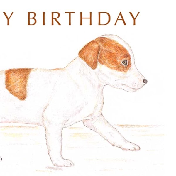 Jill the Jack Russell - Birthday Card