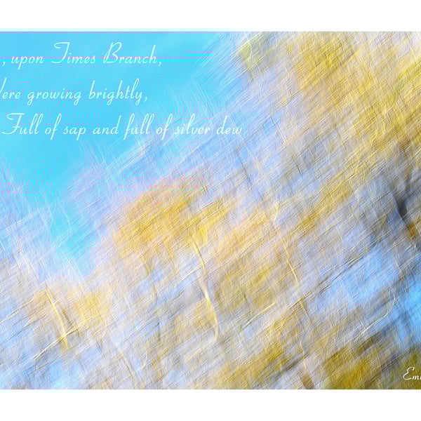 Impressionist Tree Photography Print With Emily Bronte Quote