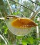 fused glass wren