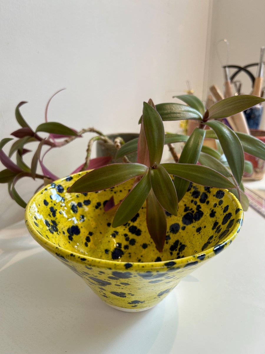 Hand thrown decorative bowl