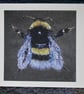 White Tailed Bumblebee Fine Art Giclee Prints - Image 2