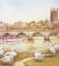 Worcester. Signed Special Edition Print 