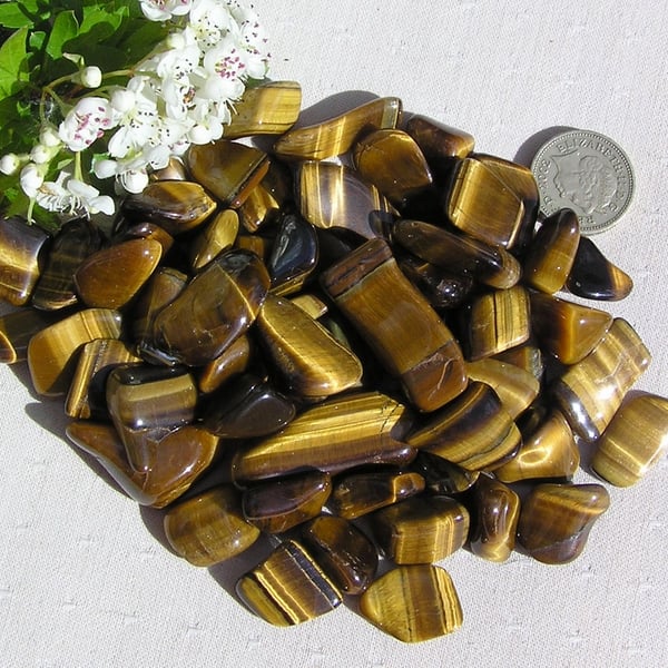 10 Gold Tiger Eye Crystal Polished Tumblestones