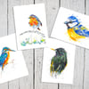 British Birds Art Cards, robin, starling, kingfisher, blue tit, set of 4