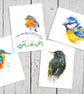 British Birds Art Cards, robin, starling, kingfisher, blue tit, set of 4
