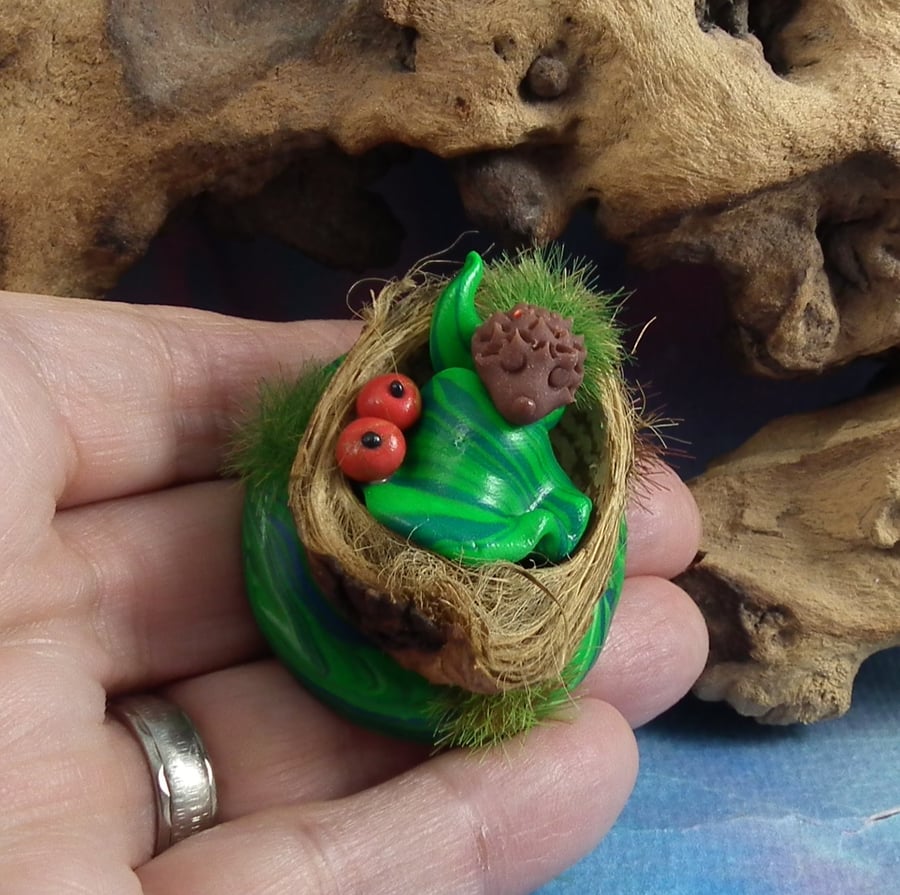 High'n'Over Hedgehog Baby in Pod-crib Hoglet OOAK Sculpt by Ann Galvin