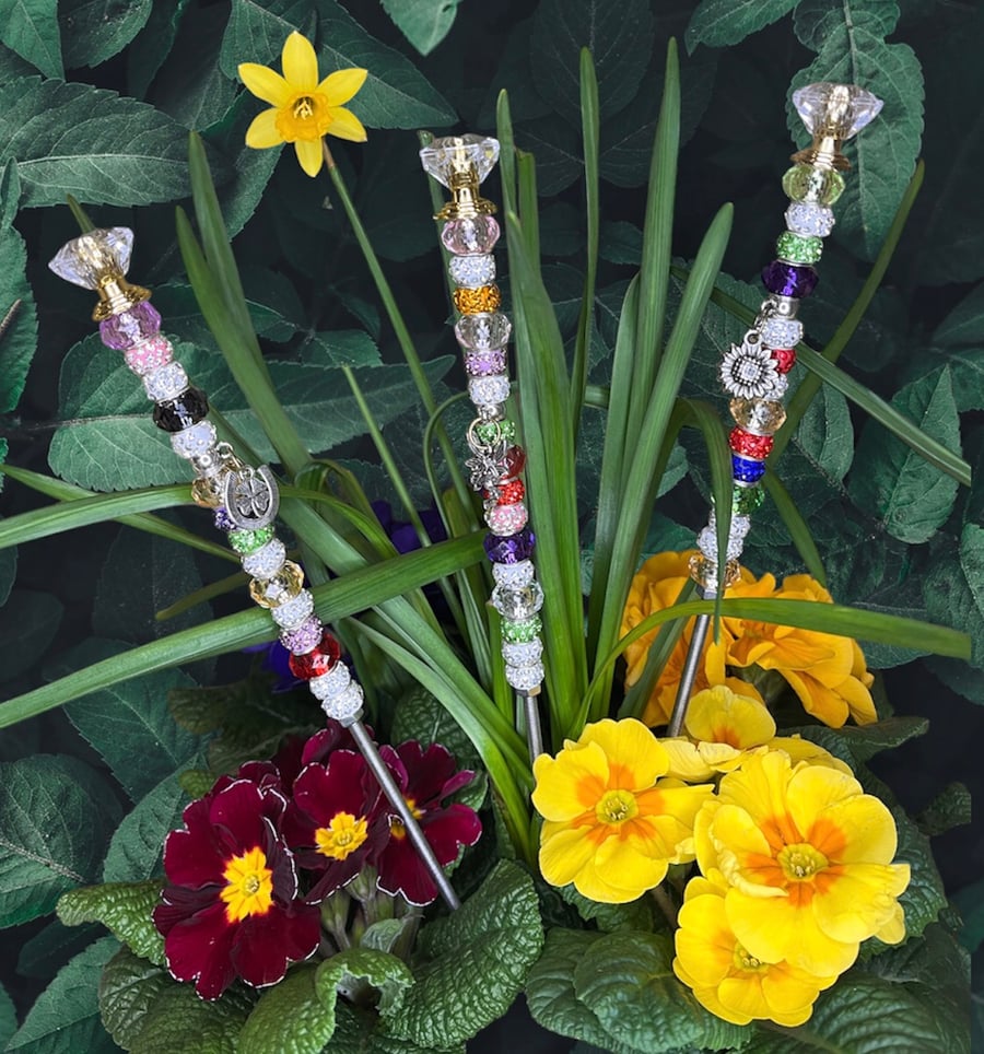 Fairy wand plant discount