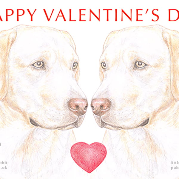 Yellow Labradors - Valentine Card