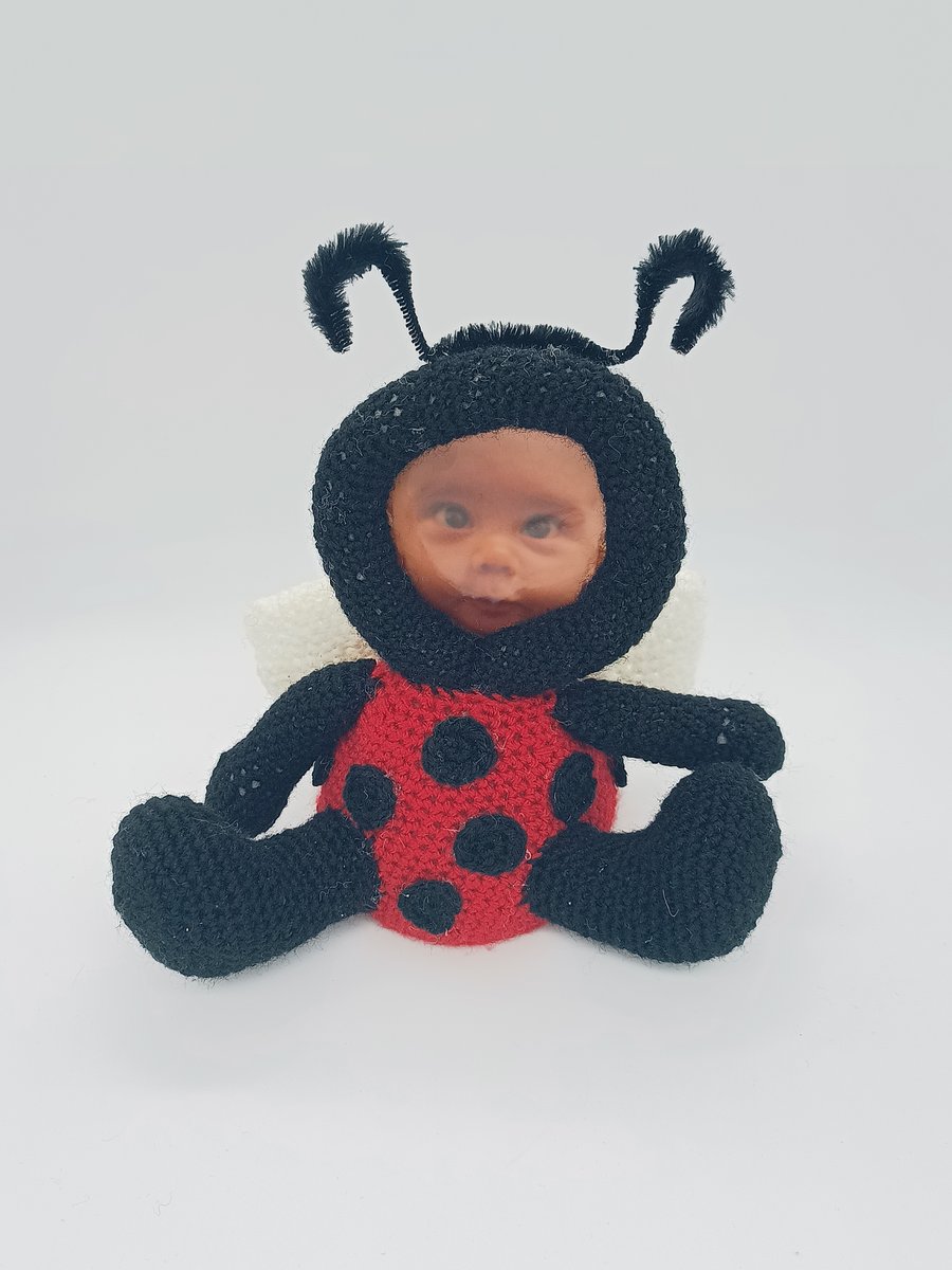 Crochet Photo Fame Ladybird