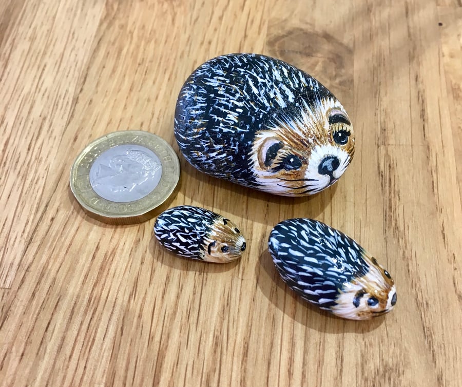 Hedgehog mini painted pebbles garden rock family wildlife pets 