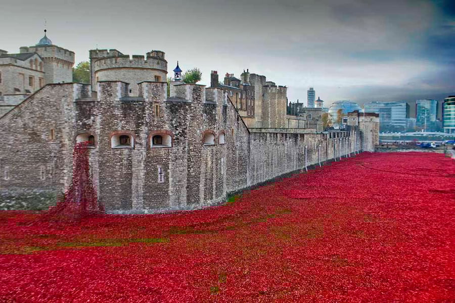 Tower of London Red Poppies England UK 18"x12" Print