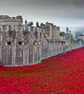 Tower of London Red Poppies England UK 18"x12" Print - Image 1