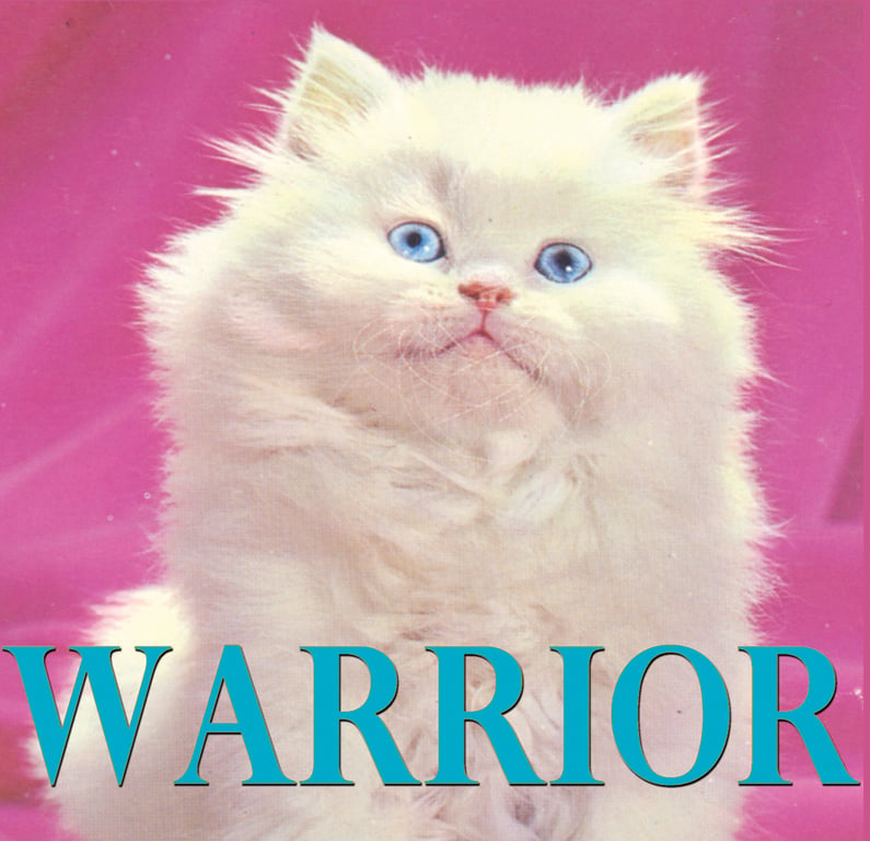 Warrior Cat