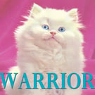 Warrior Cat