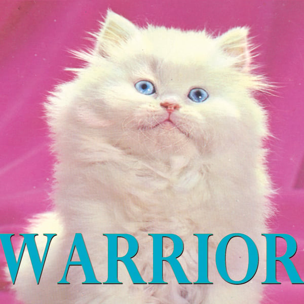 Warrior Cat