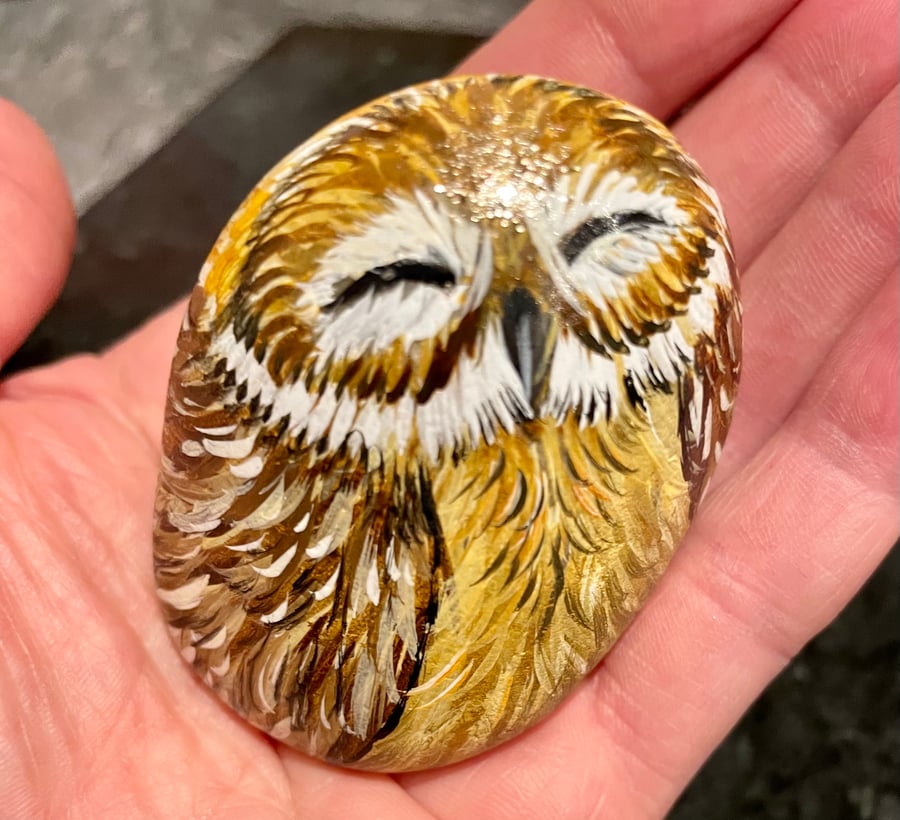 Sleeping owl hand painted pebble garden rock art wildlife bird painting 