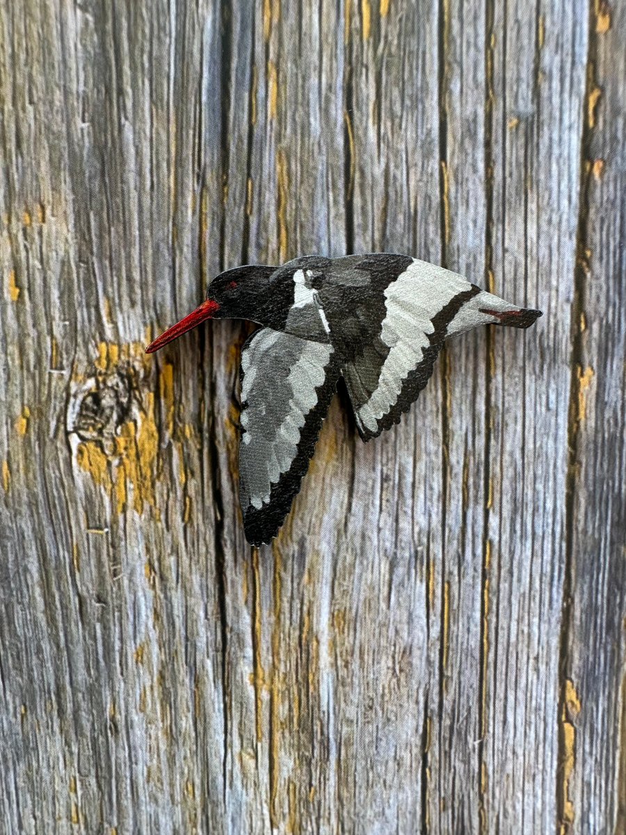 Oystercatcher Wooden Magnet