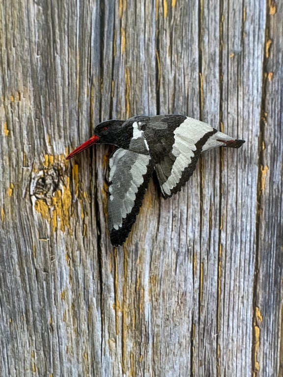 Oystercatcher Wooden Magnet