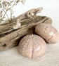 Hanging ceramic sea urchin  - Image 1