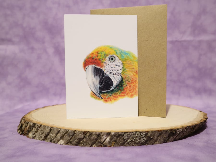 Parrot A6 any occasion greeting card