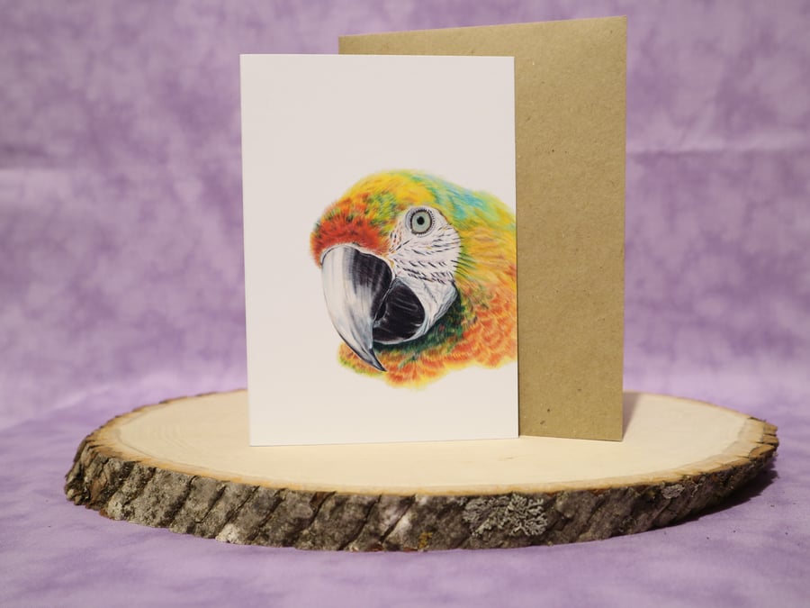 GC3  Parrot A6 any occasion greeting card
