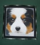 Bernese Mountain Puppy Portrait cushion - Image 2