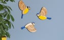 Wall Birds