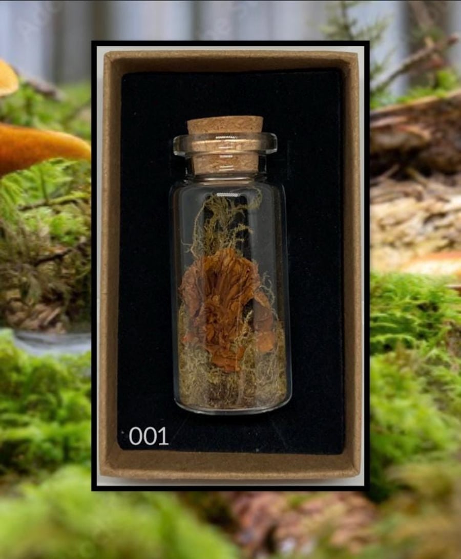 Forest curio jar