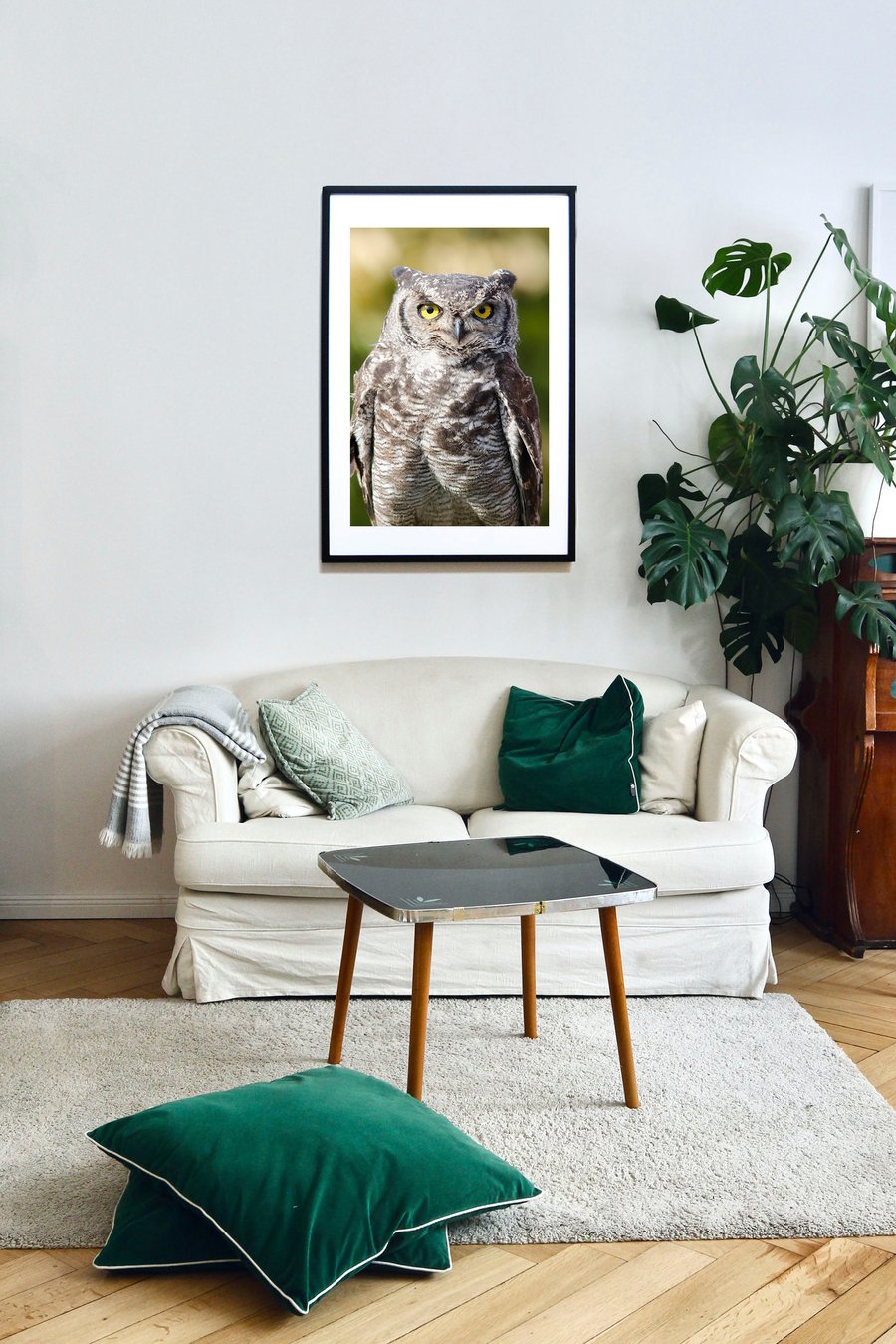 Eurasian Eagle Owl Wall Art Print – Dramatic Owl Photography
