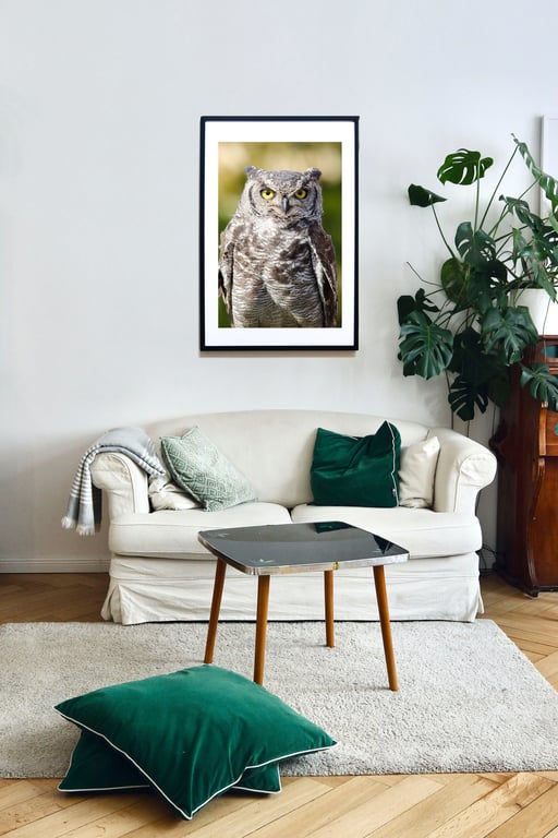 Eurasian Eagle Owl Wall Art Print – Dramatic Owl Photography