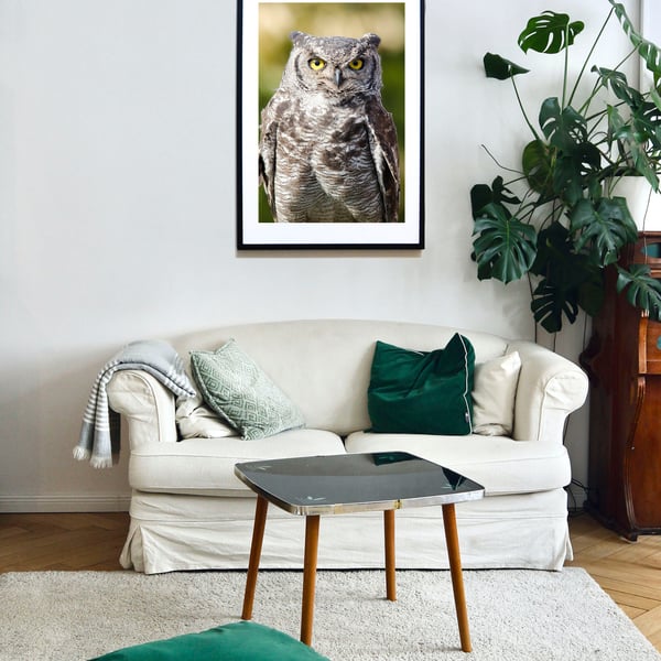 Eurasian Eagle Owl Wall Art Print – Dramatic Owl Photography