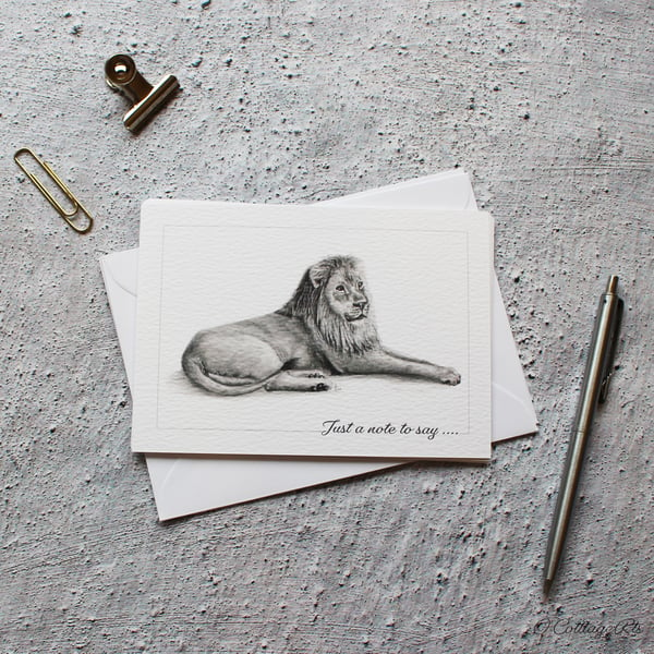 Lion Graphite Pencil Drawing Notecards - 6 Flat Postcards and Envelopes